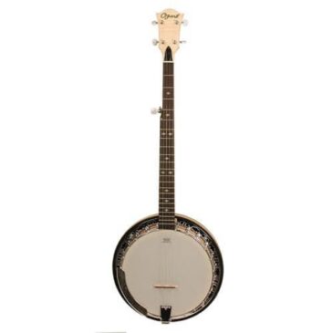 Things to Keep in Mind Before You Buy a Banjo